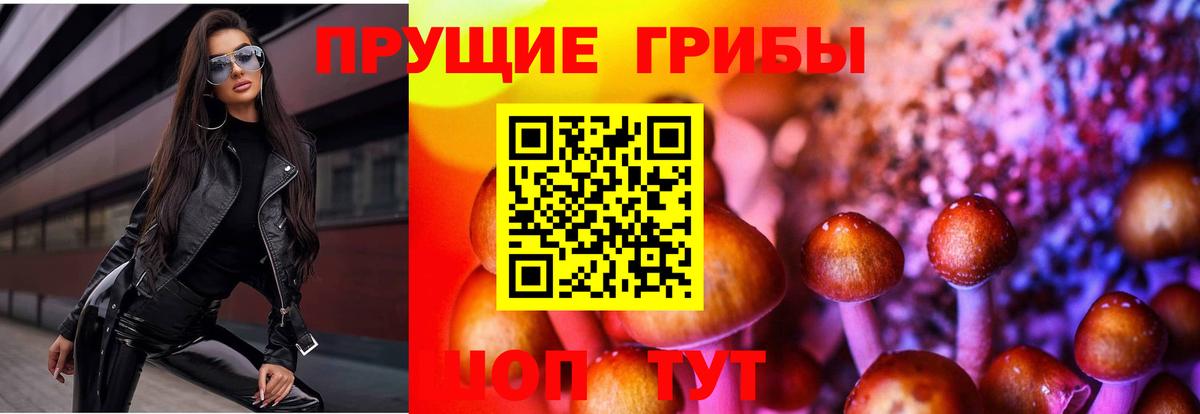 Псилоцибиновые грибы Psilocybine cubensis  Вход с VPN  Ленинск-Кузнецкий  Галлюциногенные грибы мицелий 